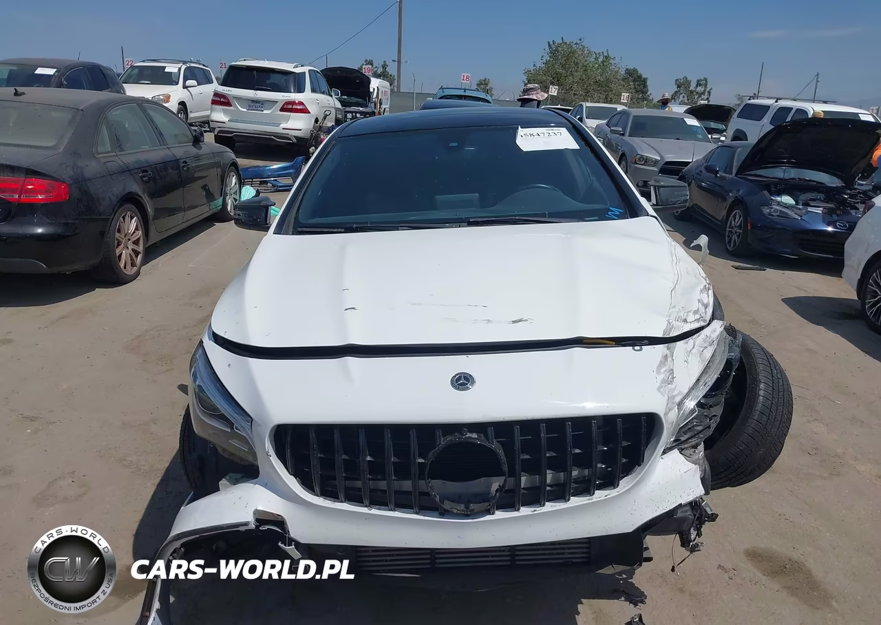 2019 Mercedes-Benz Cla 250 VIN:WDDSJ4EB9KN749446 - 12