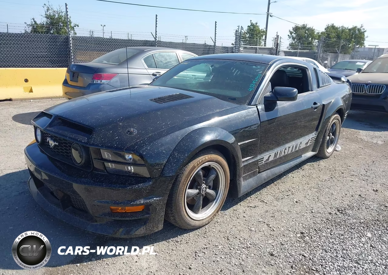 2005 Ford Mustang V6 Deluxe-V6 Premium VIN:1ZVHT80N255233518 - 2