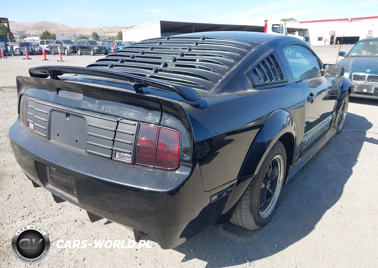 2005 Ford Mustang V6 Deluxe-V6 Premium VIN:1ZVHT80N255233518 - 4