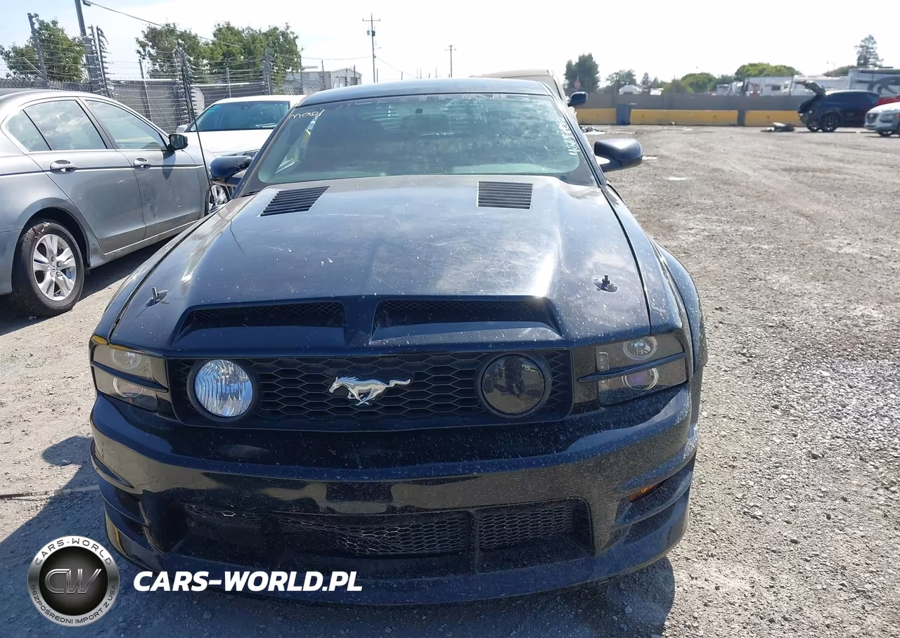 2005 Ford Mustang V6 Deluxe-V6 Premium VIN:1ZVHT80N255233518 - 6