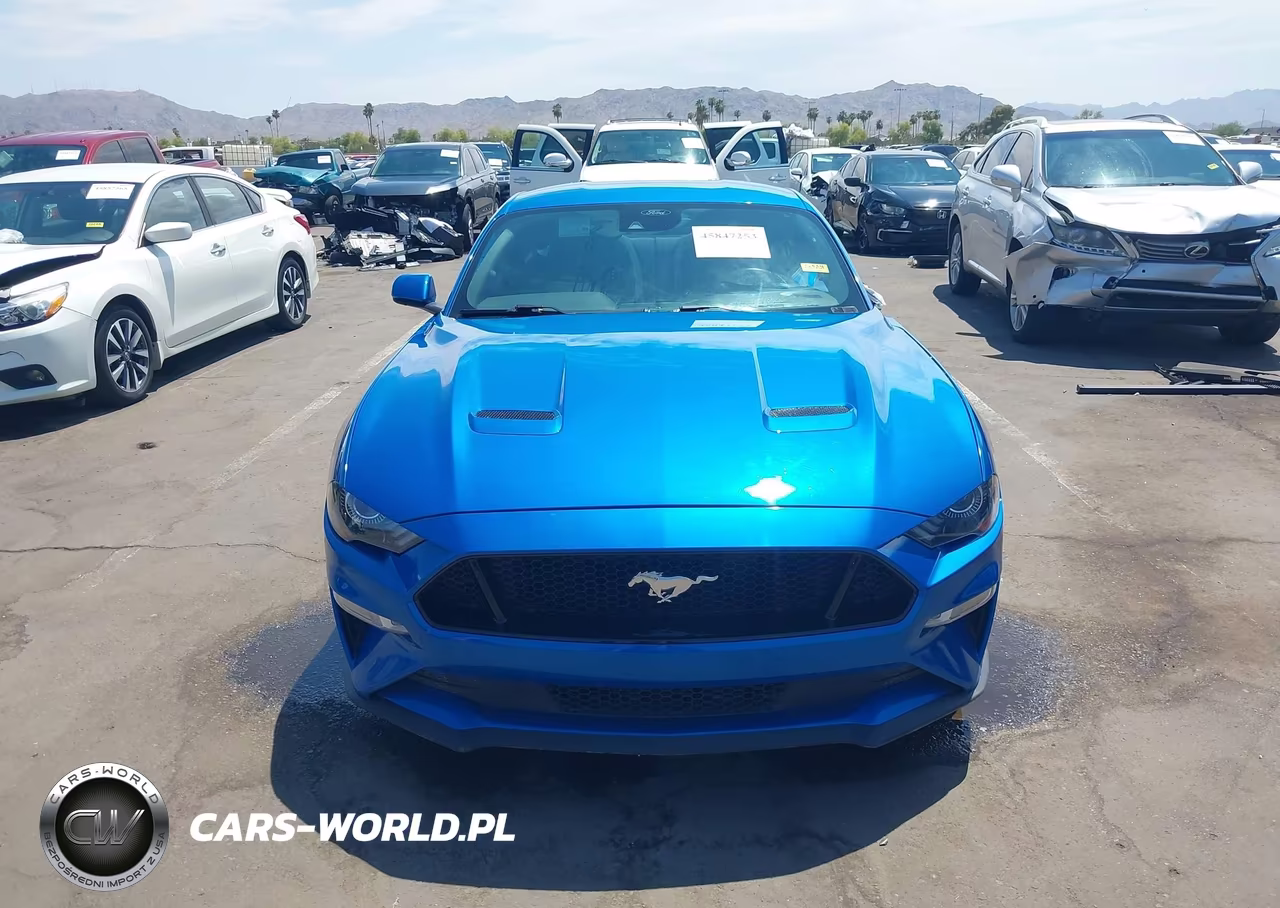 2019 Ford Mustang Gt VIN:1FA6P8CF0K5102382 - 11