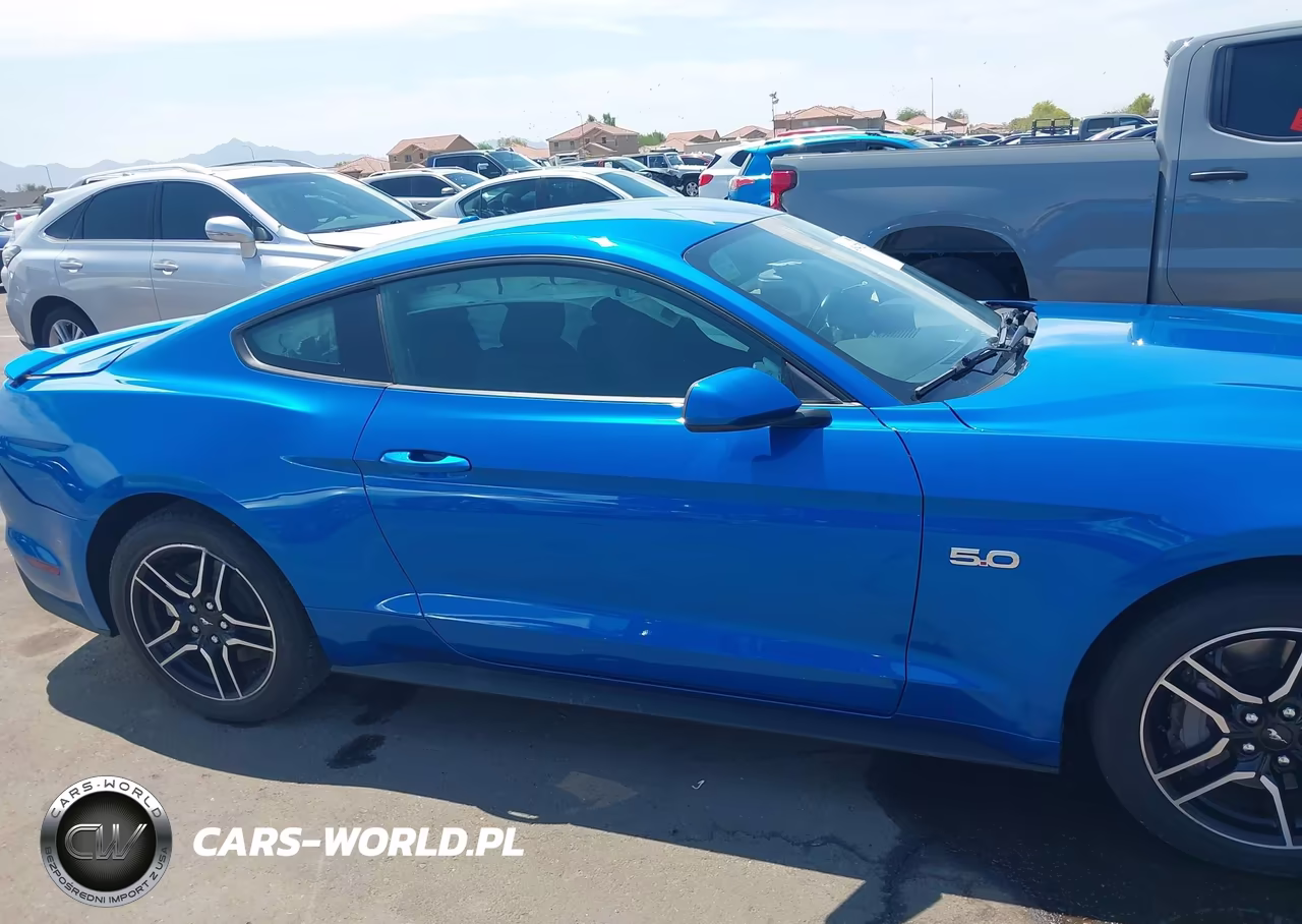 2019 Ford Mustang Gt VIN:1FA6P8CF0K5102382 - 12