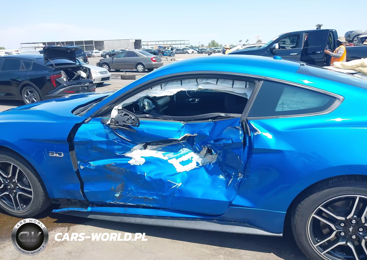 2019 Ford Mustang Gt VIN:1FA6P8CF0K5102382 - 13