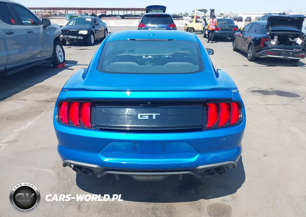2019 Ford Mustang Gt VIN:1FA6P8CF0K5102382 - 15
