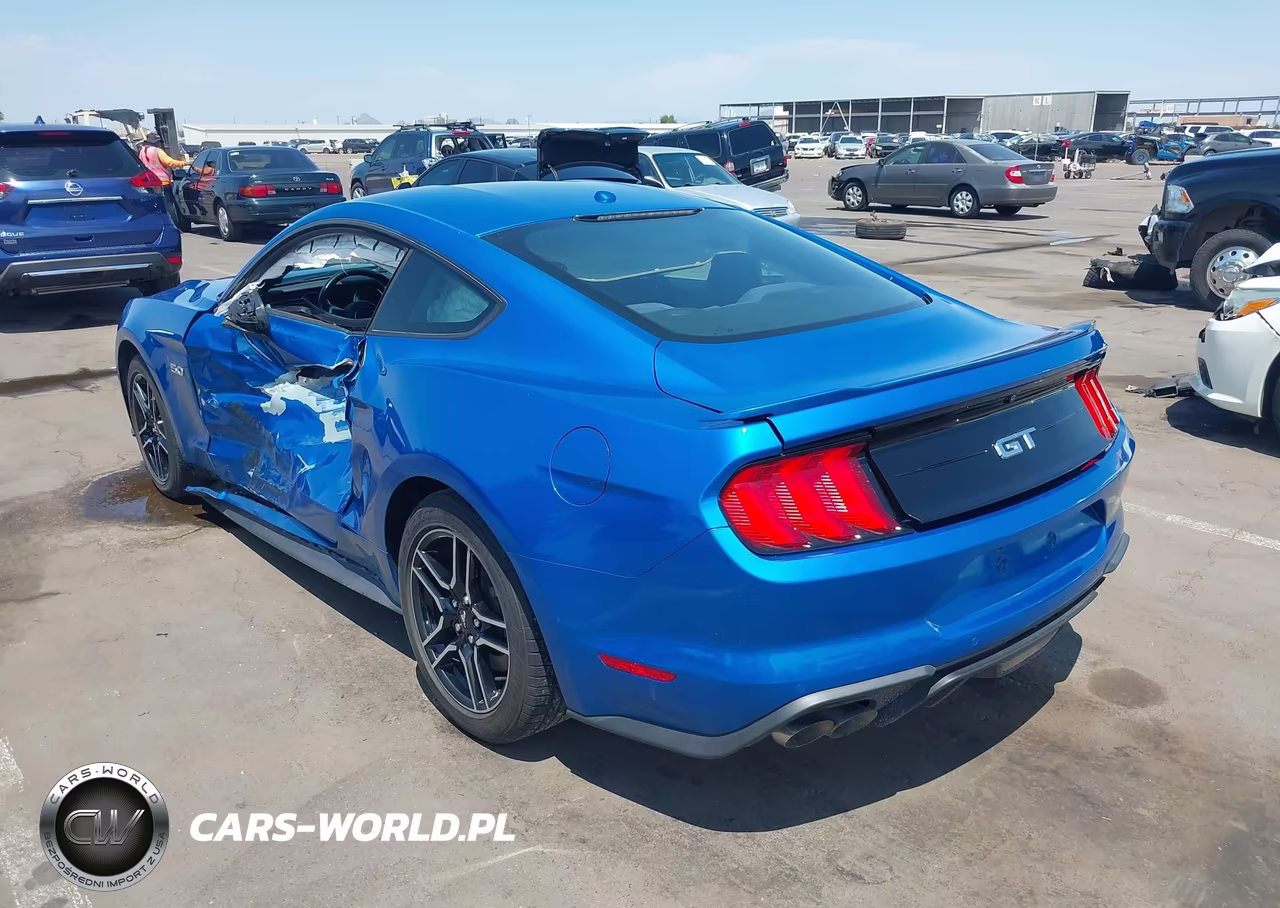 2019 Ford Mustang Gt VIN:1FA6P8CF0K5102382 - 3