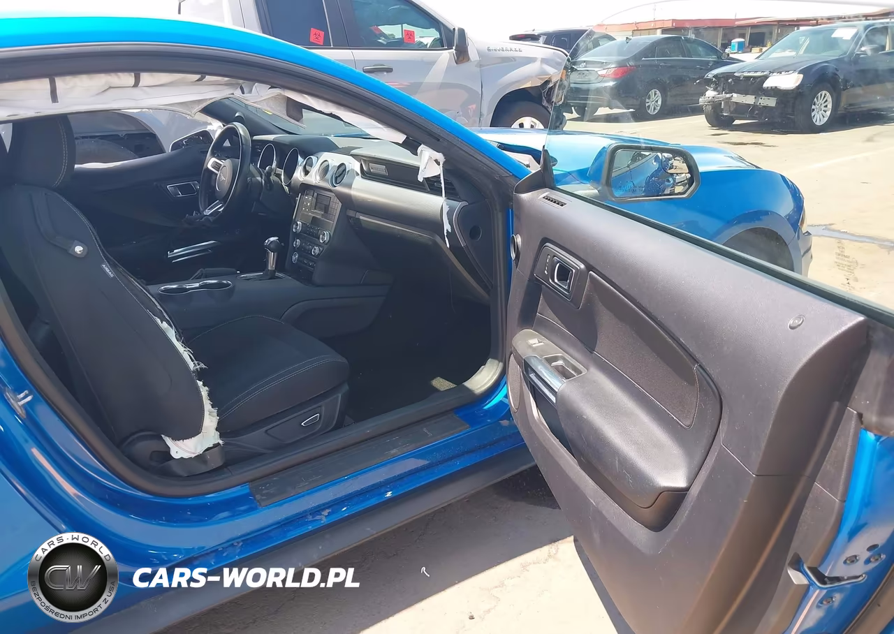 2019 Ford Mustang Gt VIN:1FA6P8CF0K5102382 - 5
