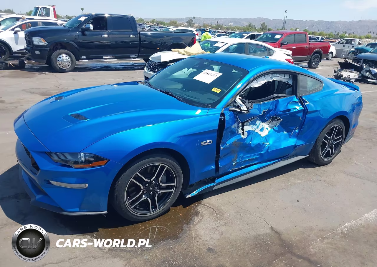 2019 Ford Mustang Gt VIN:1FA6P8CF0K5102382 - 6
