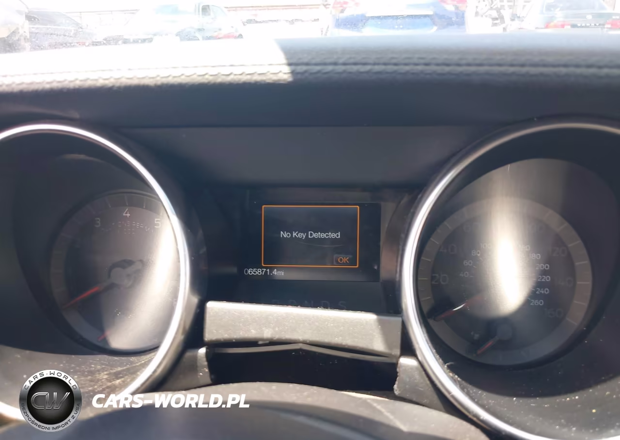 2019 Ford Mustang Gt VIN:1FA6P8CF0K5102382 - 7