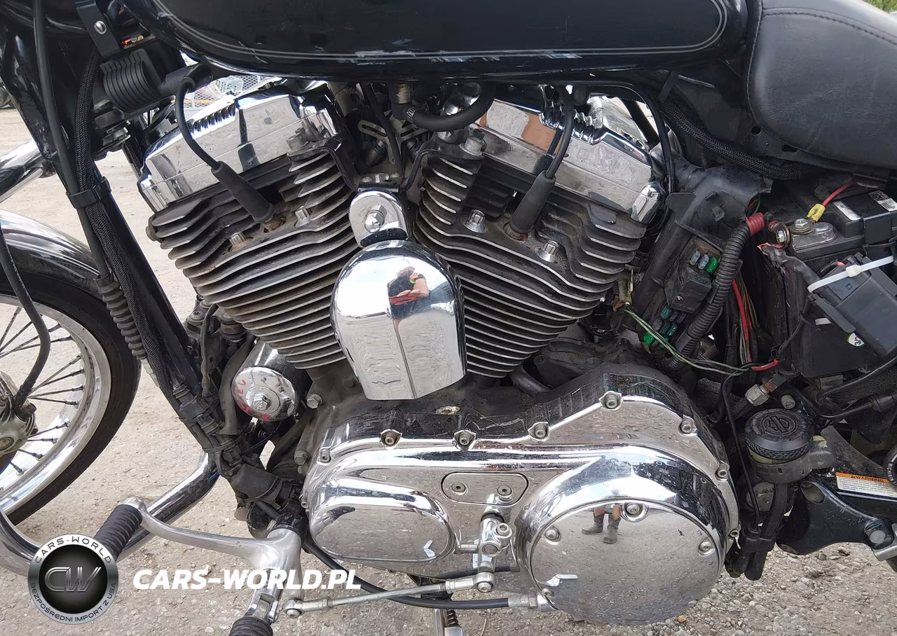 2009 Harley-Davidson Xl1200 C VIN:1HD1CT3129K423311 - 9