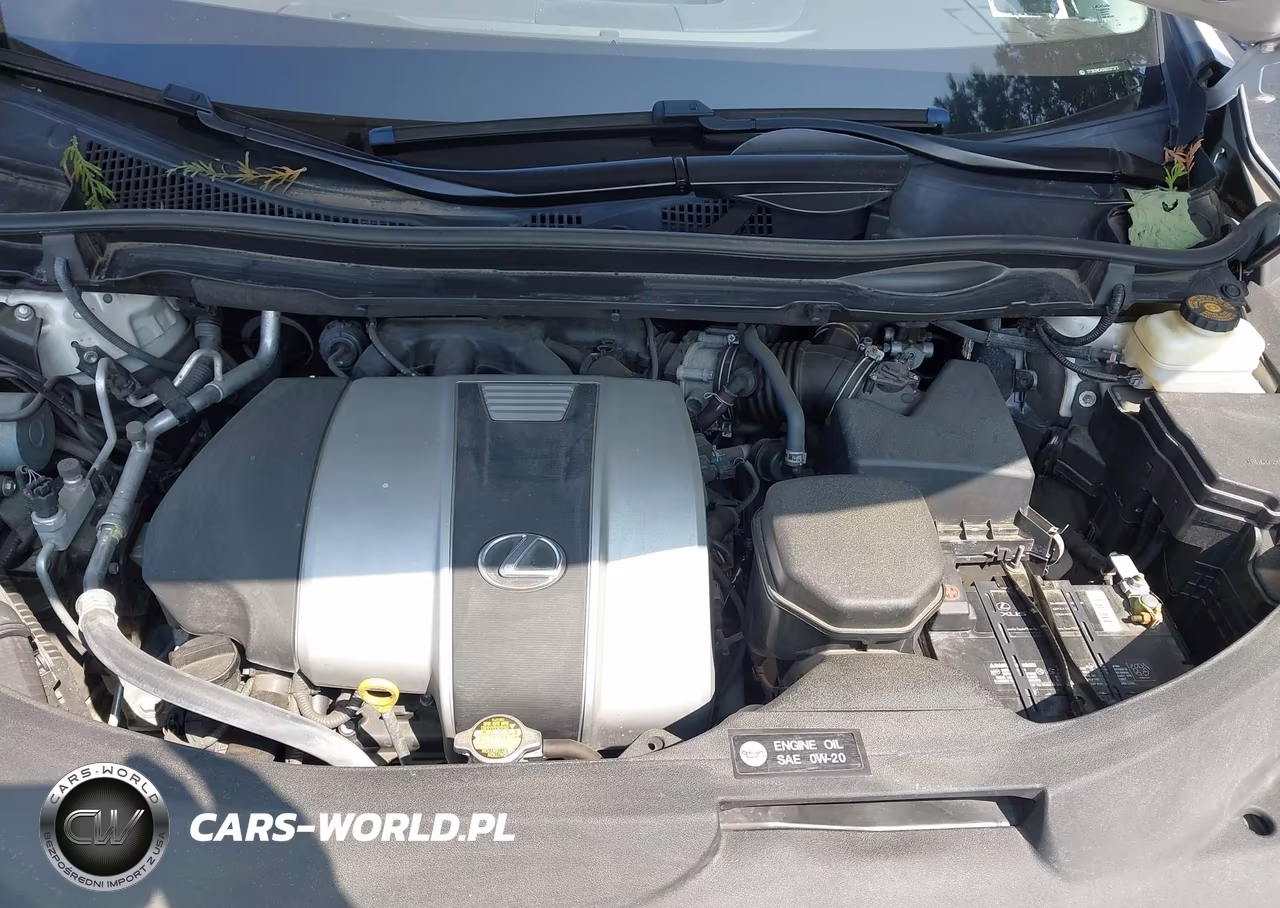 2016 Lexus Rx 350 VIN:2T2BZMCA5GC037373 - 10