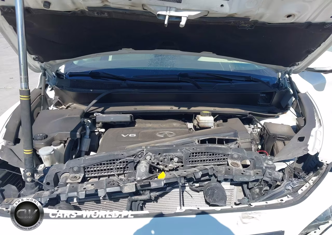2019 Infiniti Qx60 Luxe VIN:5N1DL0MNXKC504616 - 10