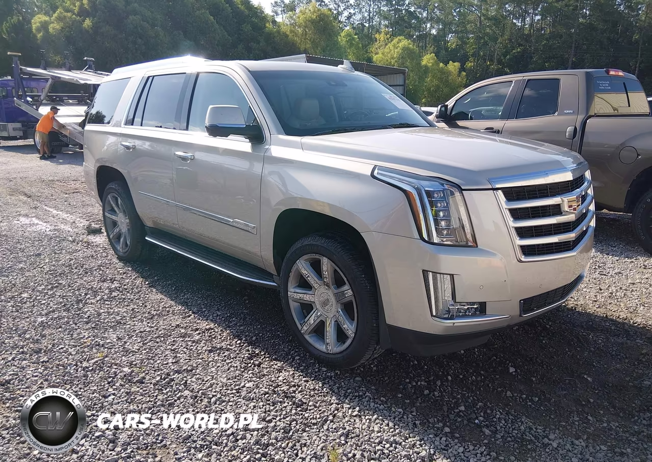 2015 Cadillac Escalade Luxury VIN:1GYS3MKJXFR743647 - 1