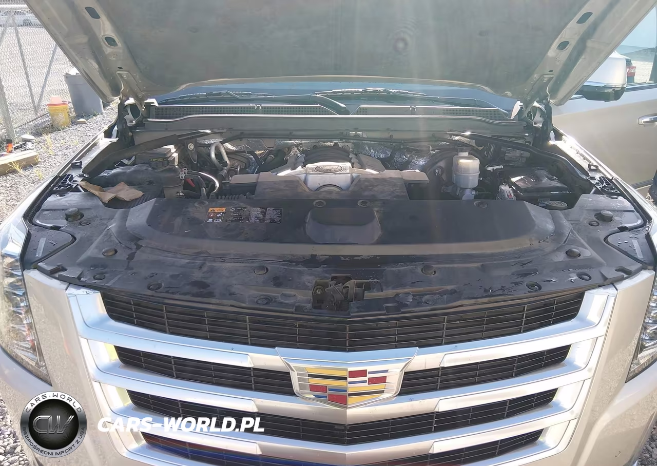 2015 Cadillac Escalade Luxury VIN:1GYS3MKJXFR743647 - 10