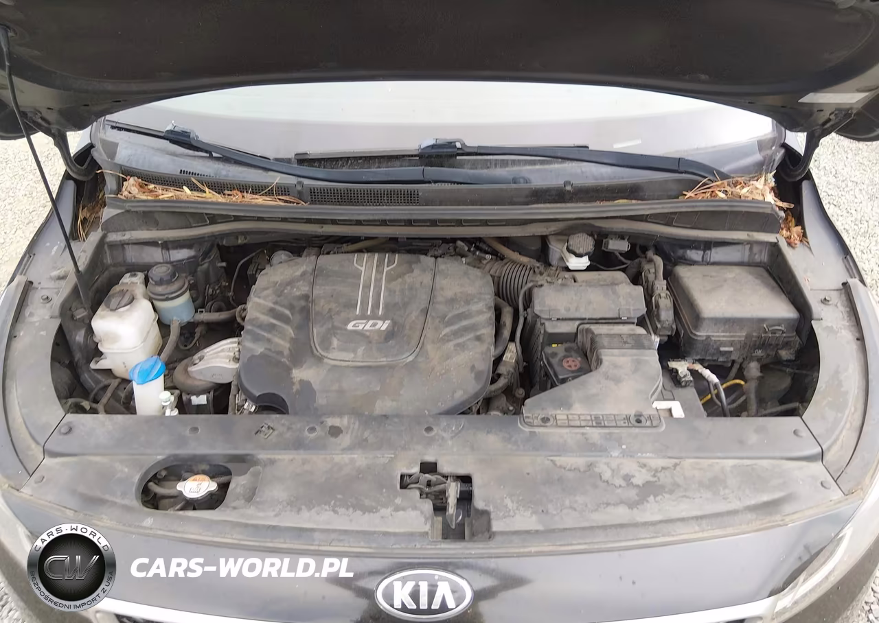 2017 Kia Sedona Lx VIN:KNDMB5C1XH6230358 - 10