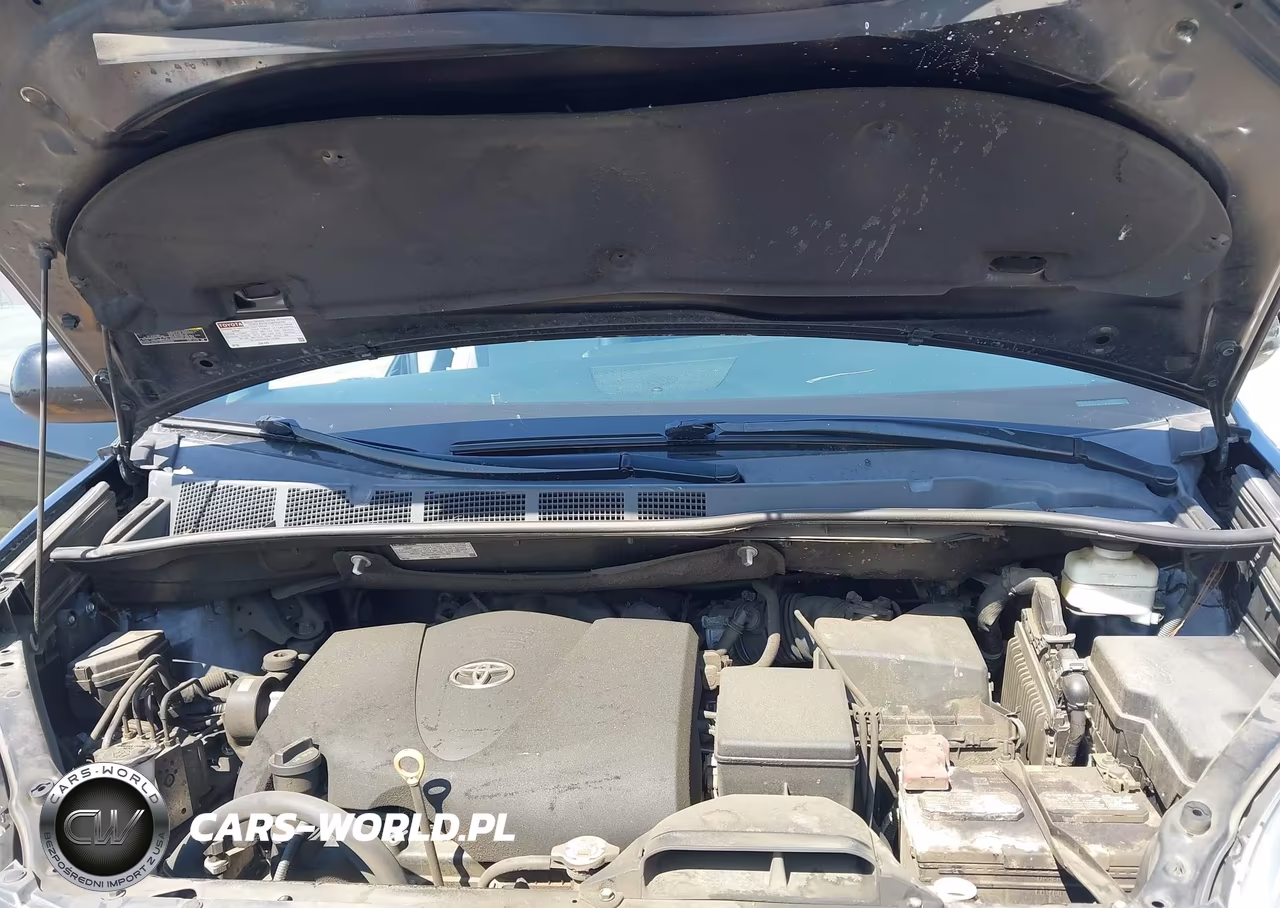 2020 Toyota Sienna Xle VIN:5TDYZ3DC4LS064008 - 10