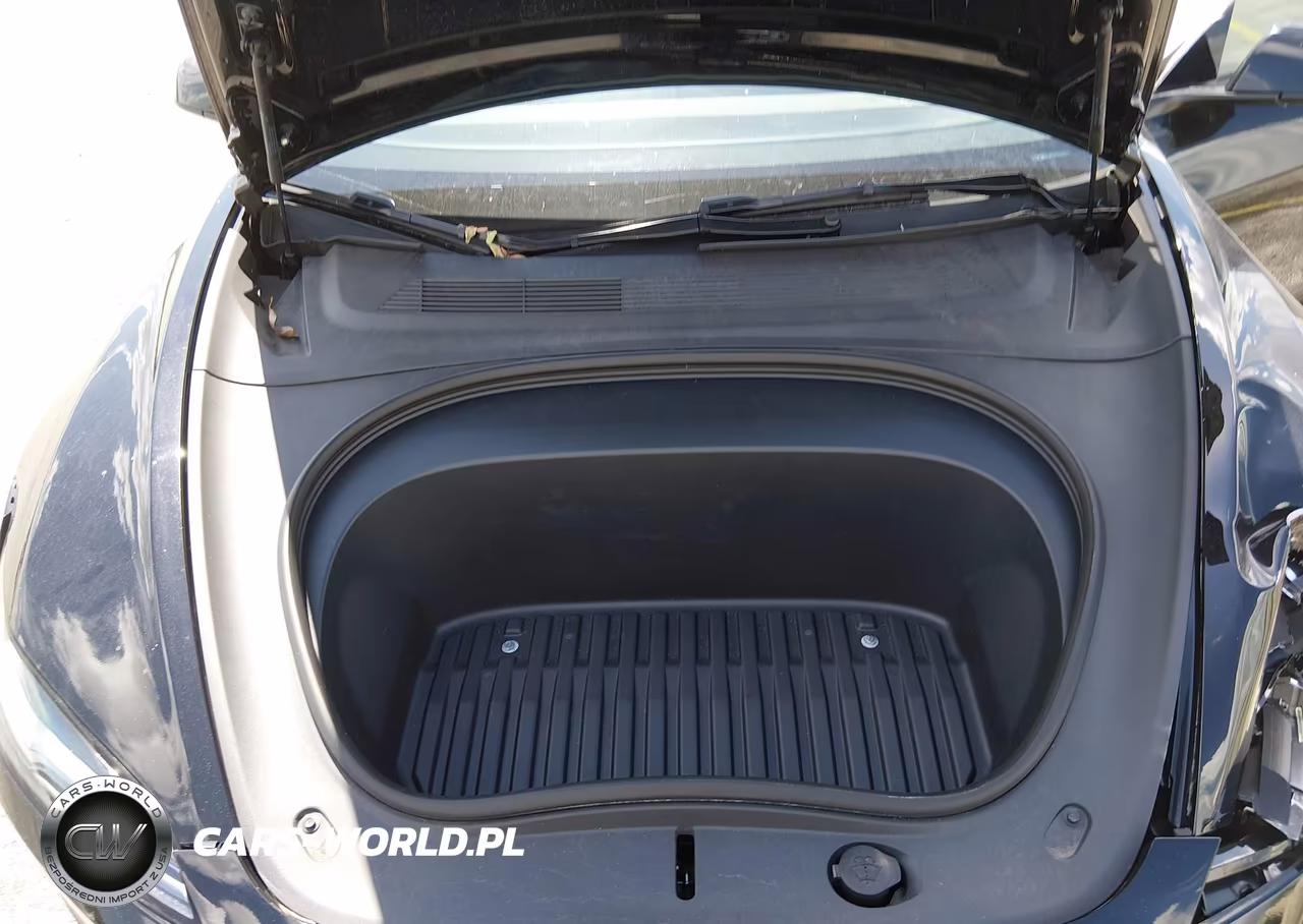 2025 Tesla Model 3 Long Range Rear-Wheel Drive-Standard Rear-Wheel Drive VIN:5YJ3E1EA1SF976024 - 10