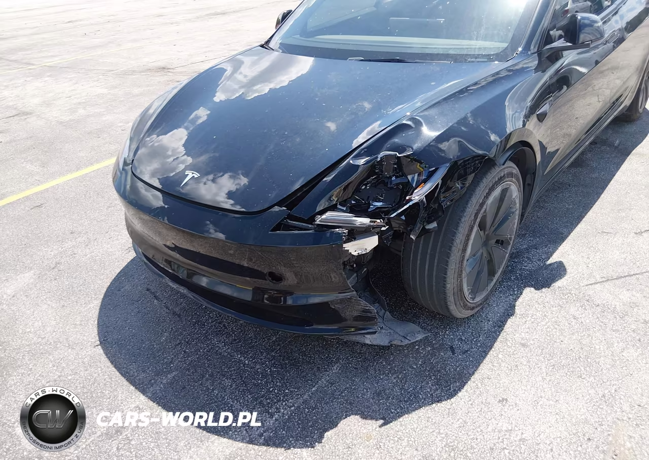2025 Tesla Model 3 Long Range Rear-Wheel Drive-Standard Rear-Wheel Drive VIN:5YJ3E1EA1SF976024 - 19