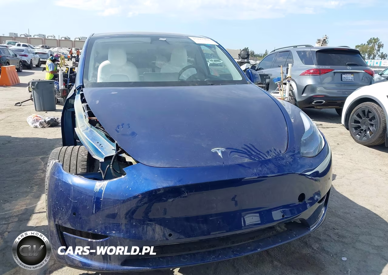 2022 Tesla Model Y Performance Dual Motor All-Wheel Drive VIN:7SAYGDEF2NF491542 - 12