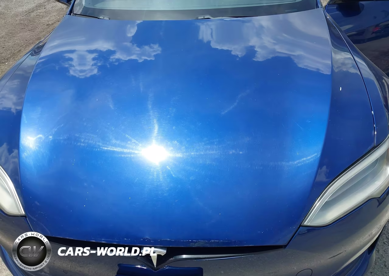 2021 Tesla Model S Long Range Dual Motor All-Wheel Drive VIN:5YJSA1E52MF428398 - 10