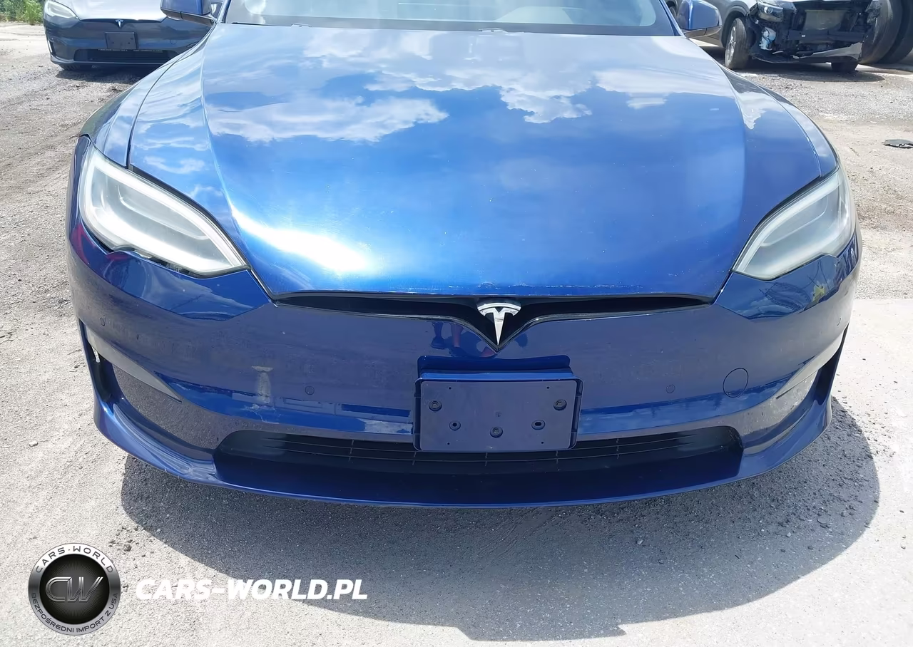 2021 Tesla Model S Long Range Dual Motor All-Wheel Drive VIN:5YJSA1E52MF428398 - 19