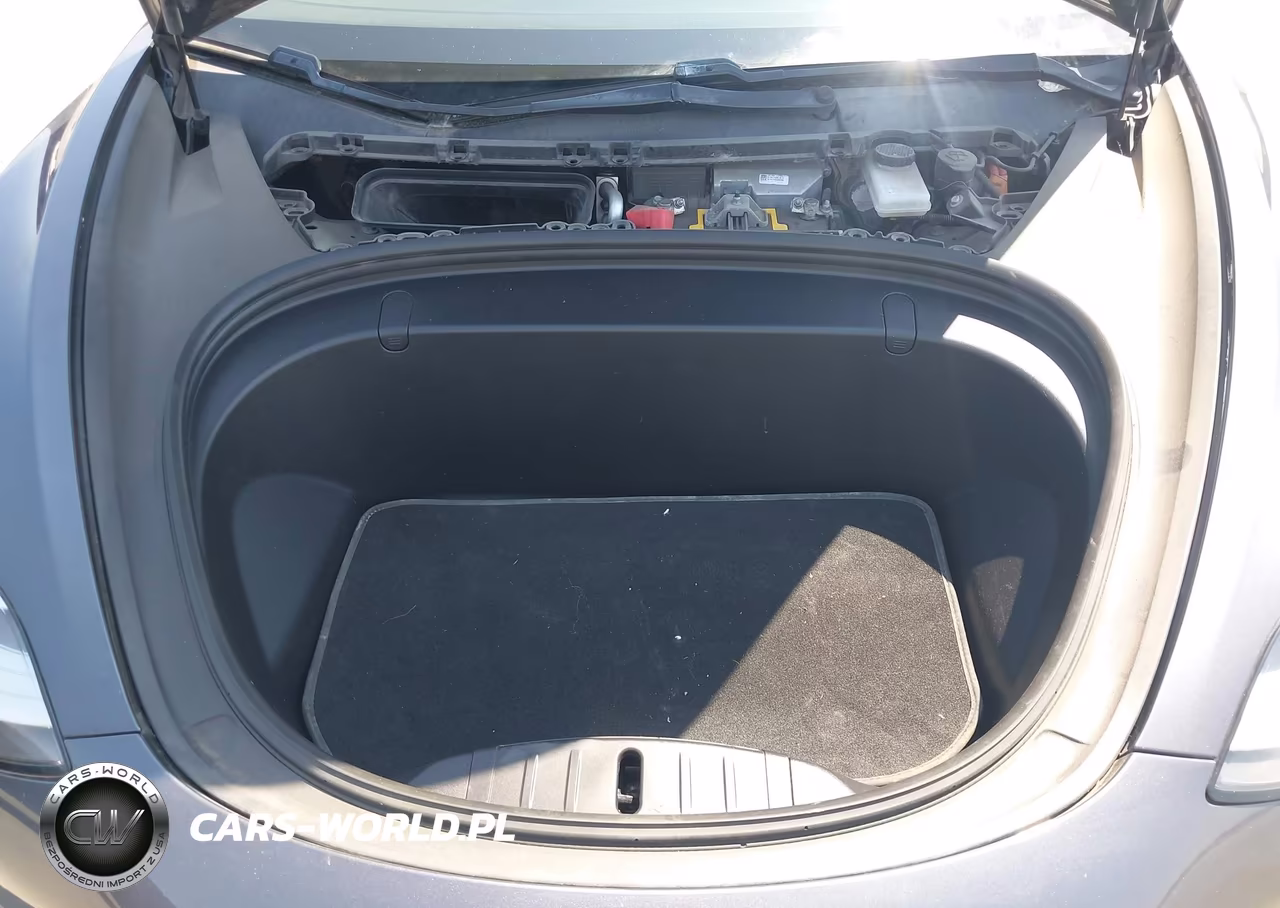 2018 Tesla Model 3 VIN:5YJ3E1EA9JF023916 - 10
