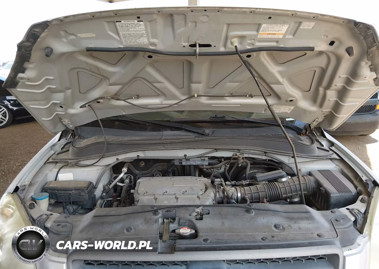 2004 Honda Pilot Ex-L VIN:2HKYF18534H597855 - 10