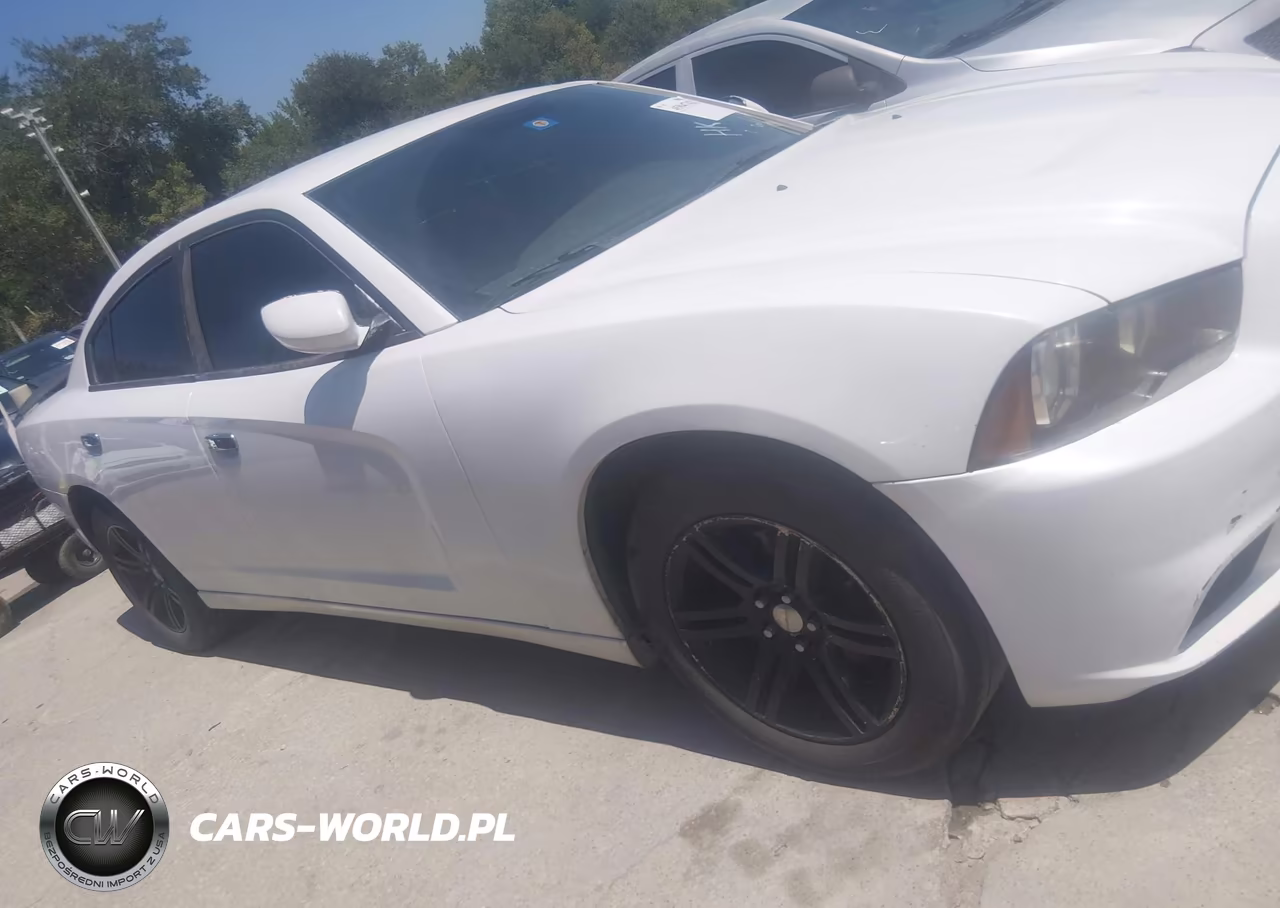 2013 Dodge Charger Sxt VIN:2C3CDXHG8DH542478 - 13
