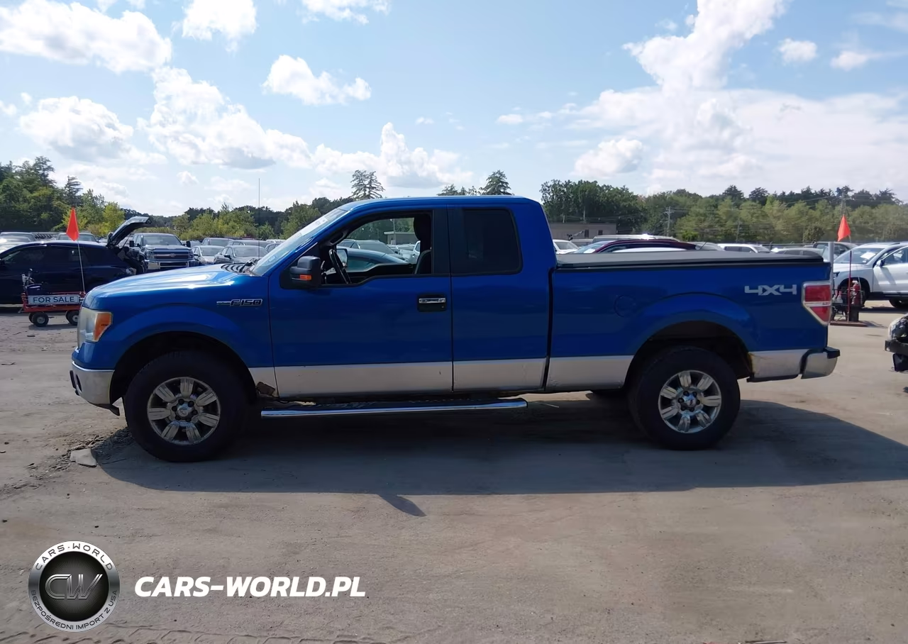 2011 Ford F-150 Xlt VIN:1FTFX1EF5BKD15943 - 14