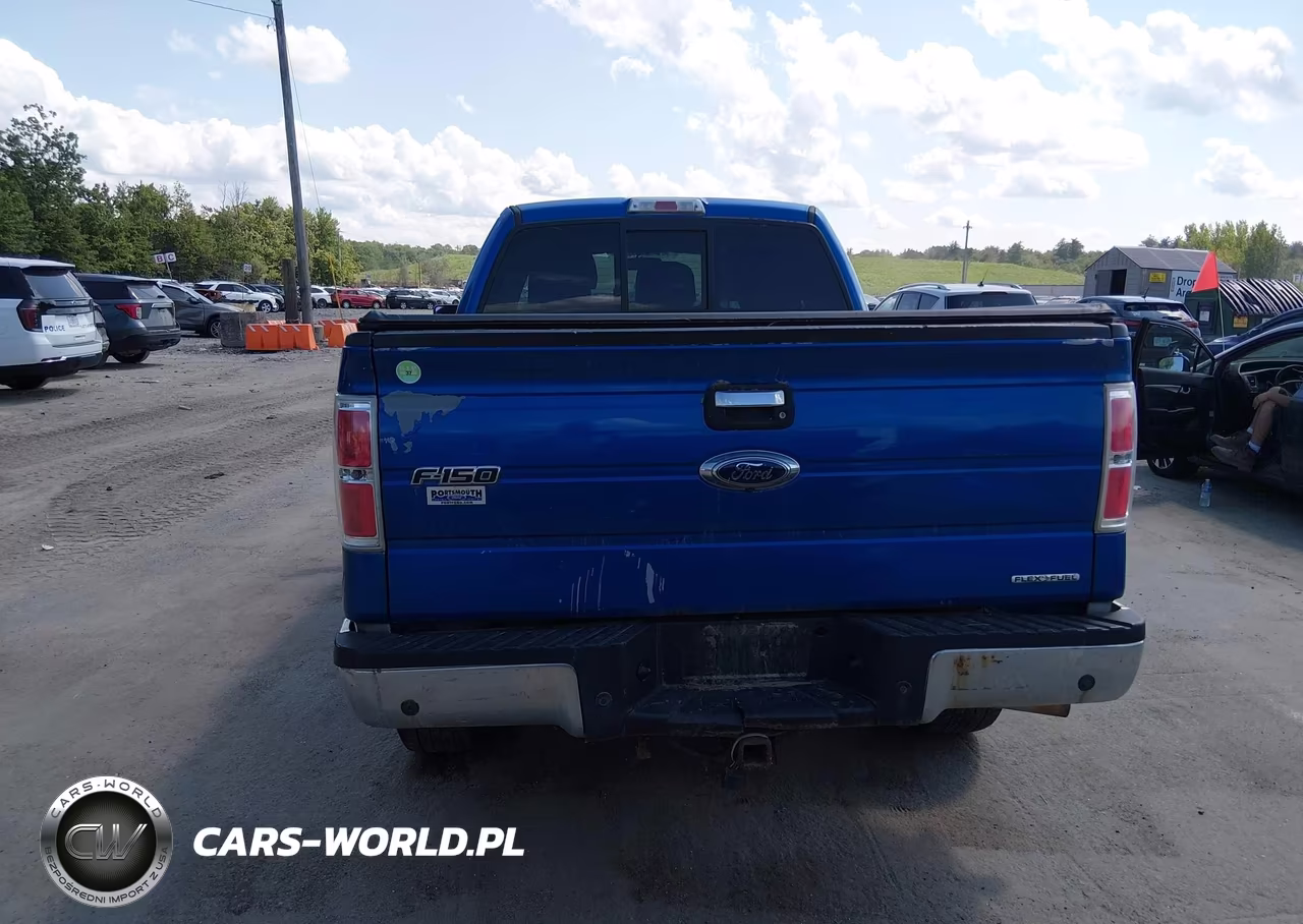 2011 Ford F-150 Xlt VIN:1FTFX1EF5BKD15943 - 16