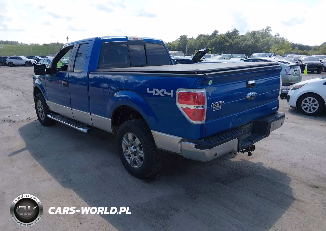 2011 Ford F-150 Xlt VIN:1FTFX1EF5BKD15943 - 3