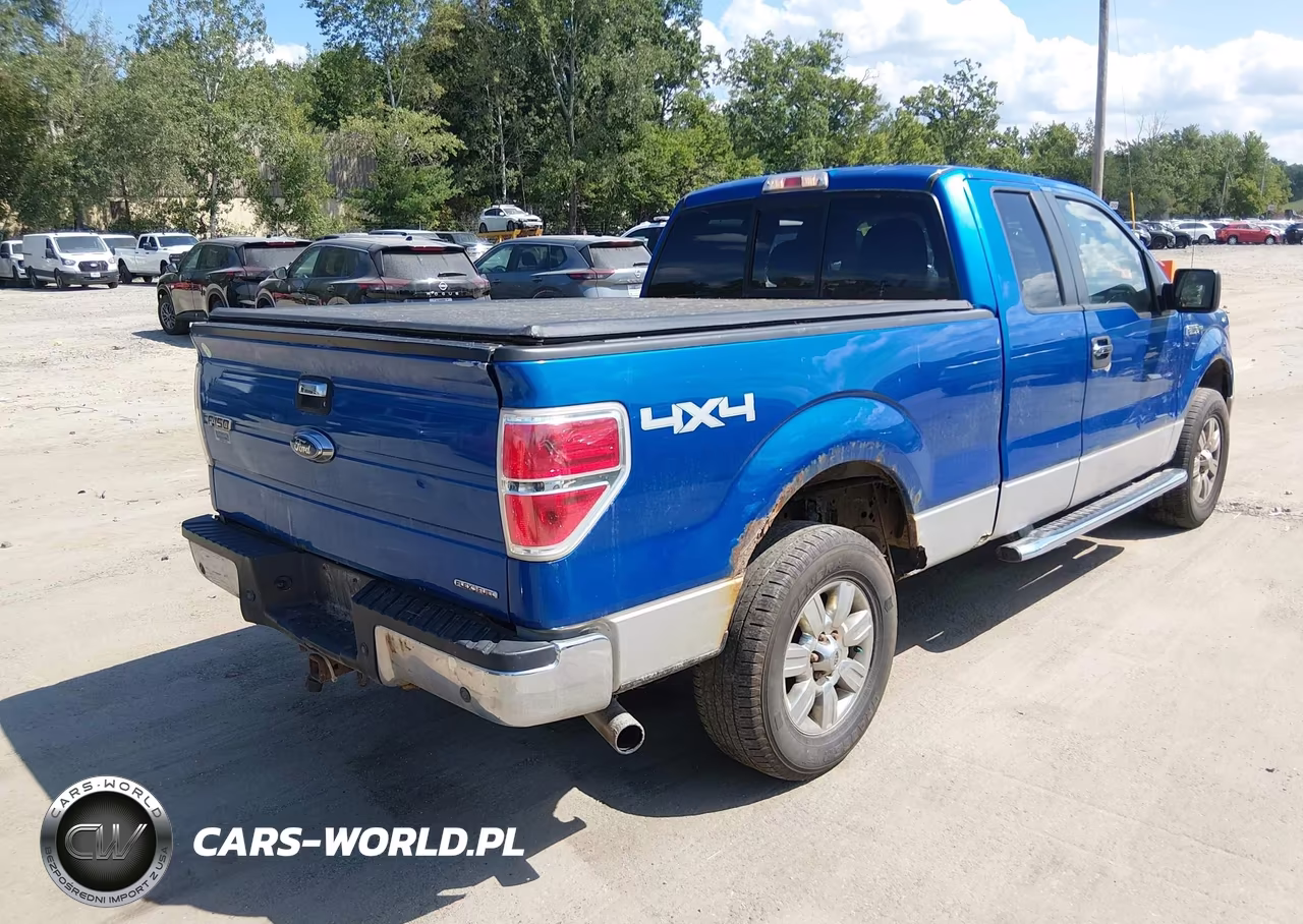 2011 Ford F-150 Xlt VIN:1FTFX1EF5BKD15943 - 4