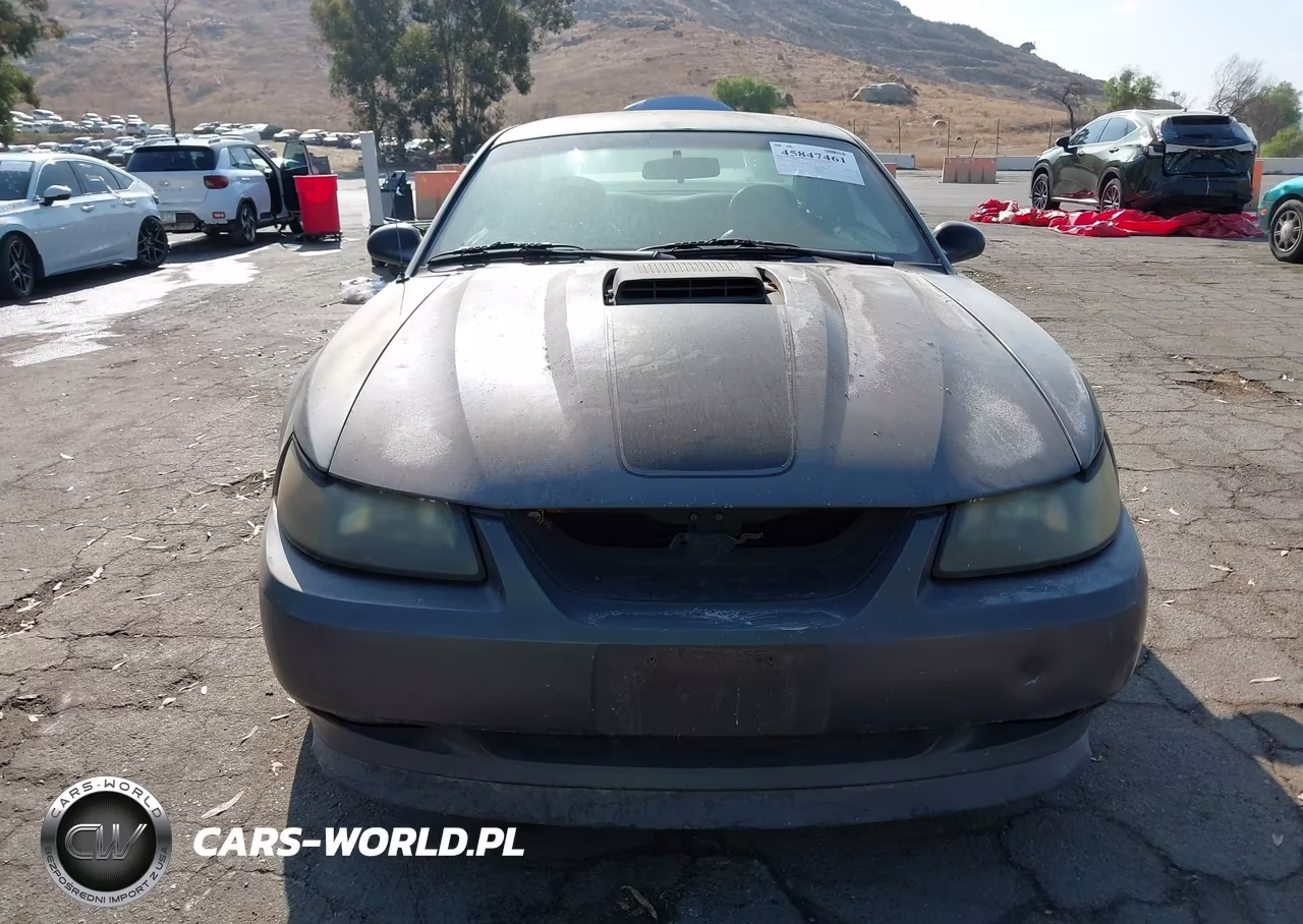 2003 Ford Mustang Mach 1 VIN:1FAFP42R53F417582 - 12