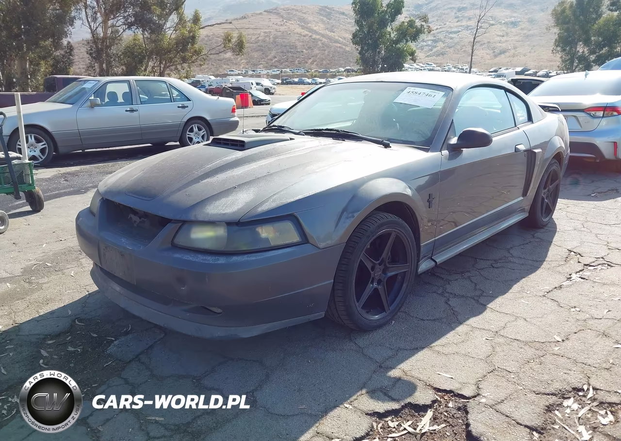 2003 Ford Mustang Mach 1 VIN:1FAFP42R53F417582 - 2
