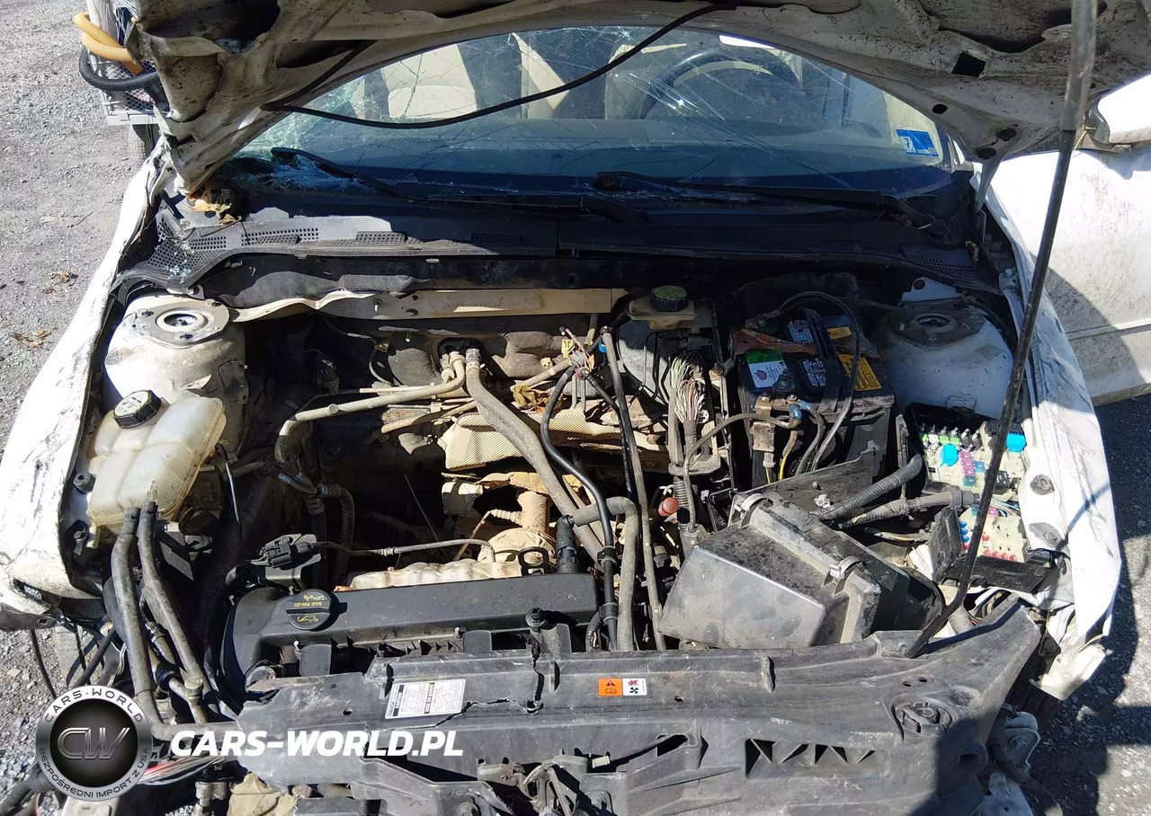 2006 Mazda Mazda3 I VIN:JM1BK12F761541267 - 10