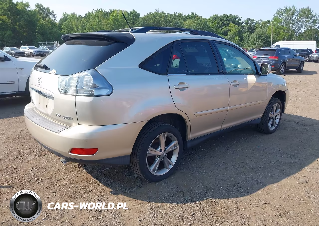 2006 Lexus Rx 400H VIN:JTJGW31U260004198 - 4
