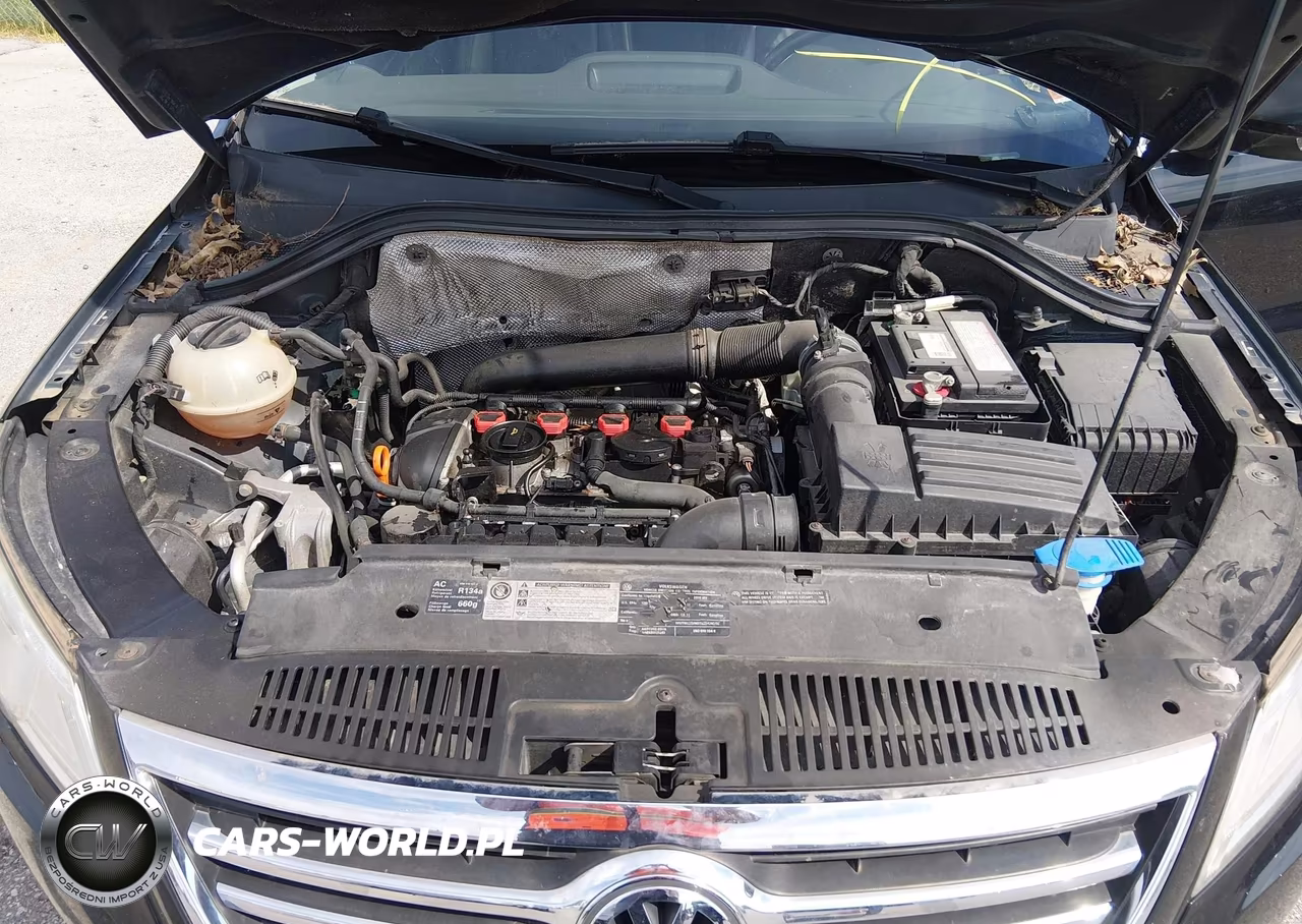 2010 Volkswagen Tiguan Se VIN:WVGBV7AX3AW501053 - 10