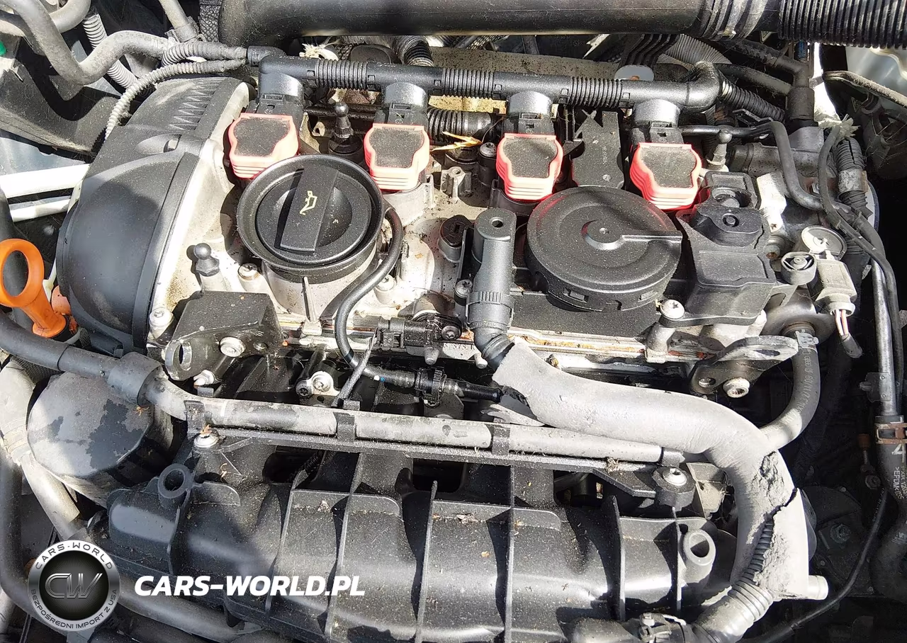 2010 Volkswagen Tiguan Se VIN:WVGBV7AX3AW501053 - 6