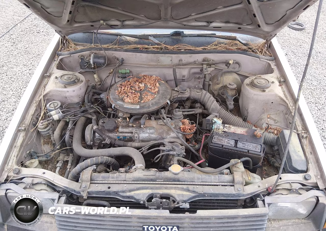 1984 Toyota Corolla Dlx VIN:JT2AE82E1E3121793 - 10