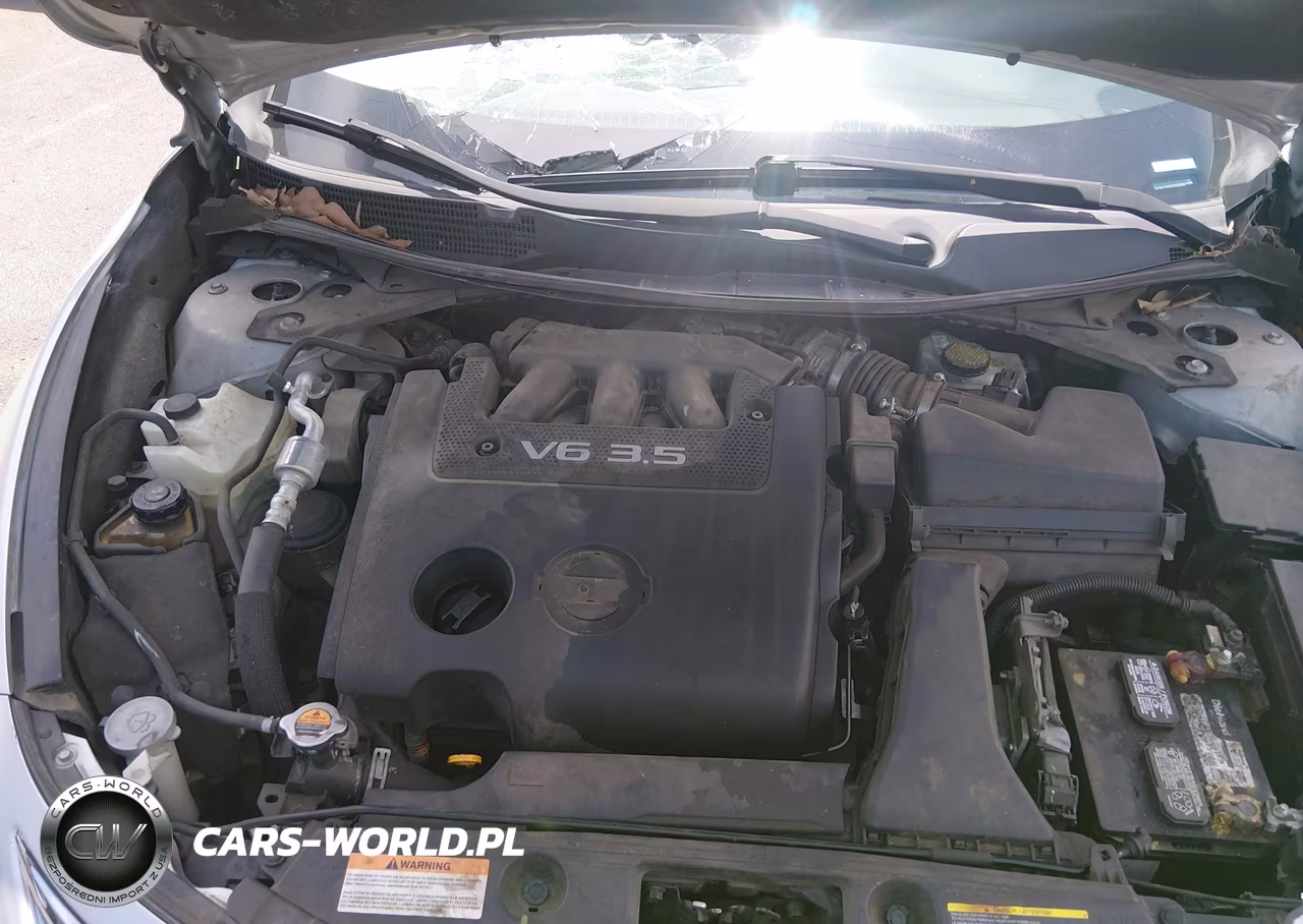 2013 Nissan Altima 3.5 Sv VIN:1N4BL3AP1DC166275 - 10