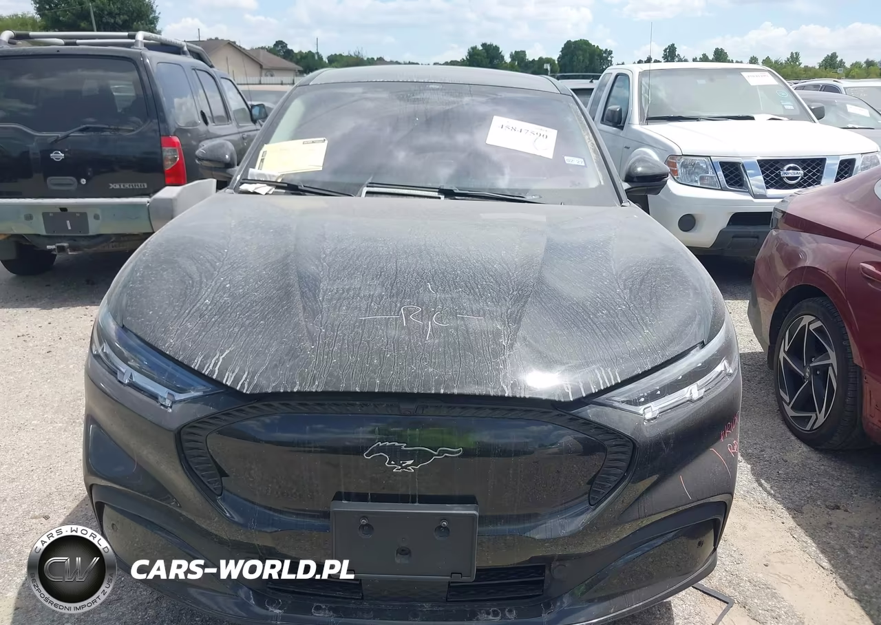 2022 Ford Mustang Mach-E California Route 1 VIN:3FMTK2R79NMA11520 - 12