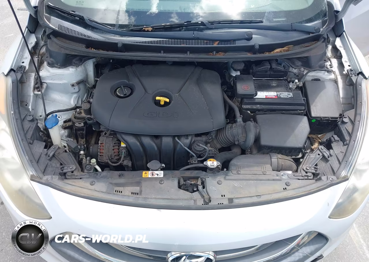 2014 Hyundai Elantra Gt VIN:KMHD35LH6EU218429 - 10