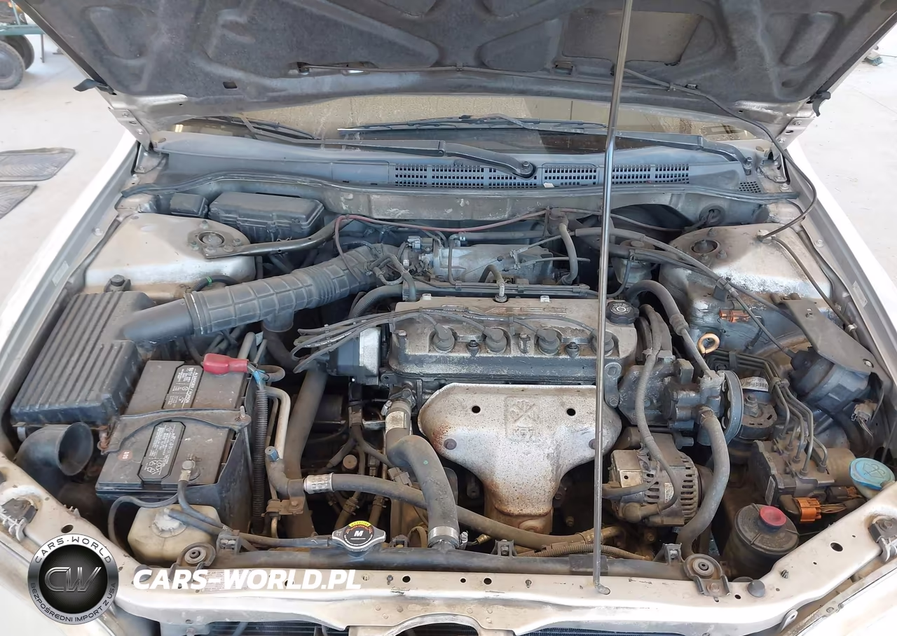 1998 Honda Accord Ex VIN:1HGCG5652WA234489 - 10