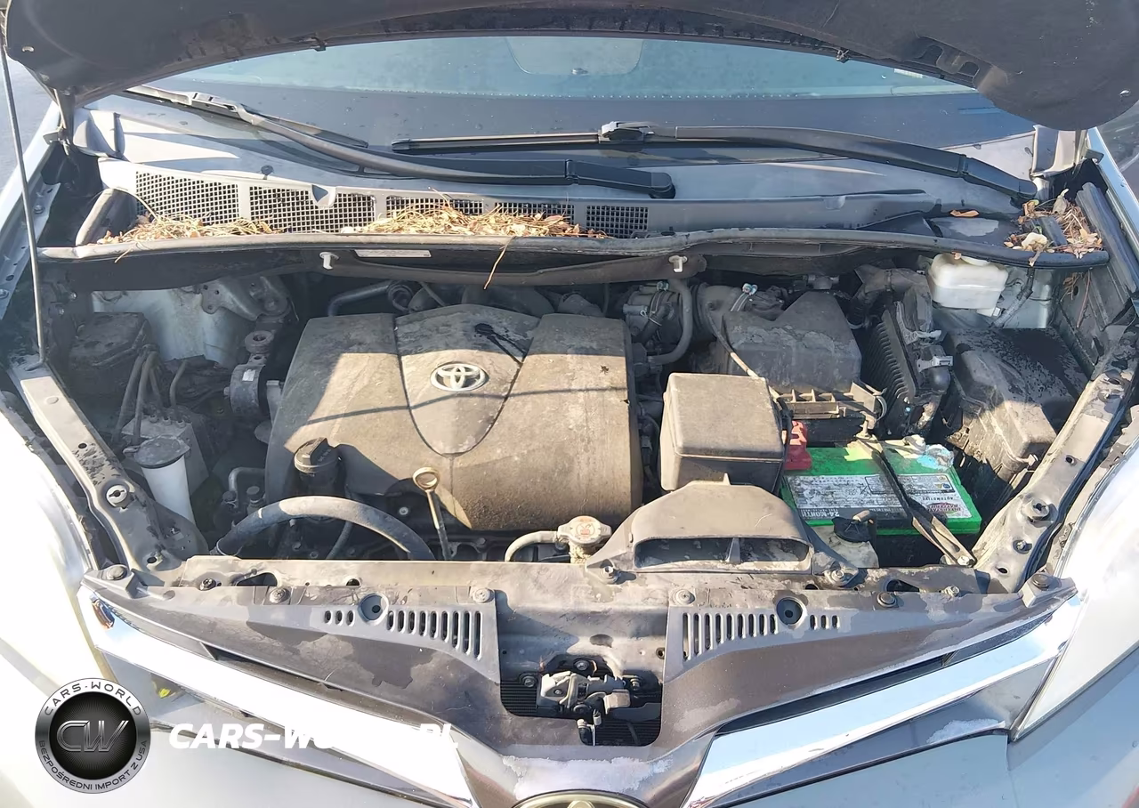 2020 Toyota Sienna Xle VIN:5TDDZ3DC0LS238011 - 10