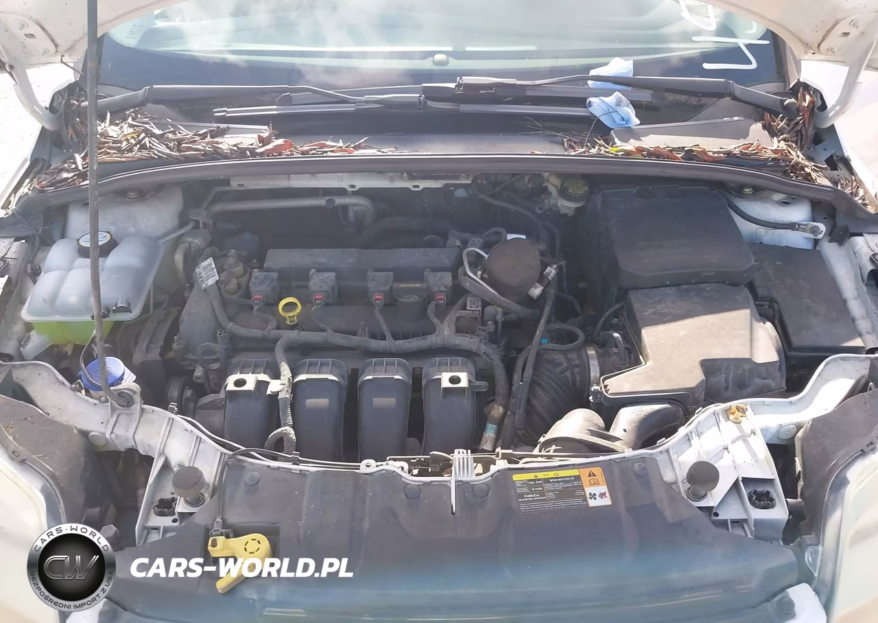 2014 Ford Focus Se VIN:1FADP3F24EL251994 - 10