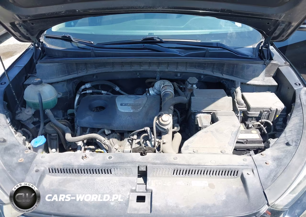 2017 Hyundai Tucson Limited VIN:KM8J3CA29HU394644 - 10