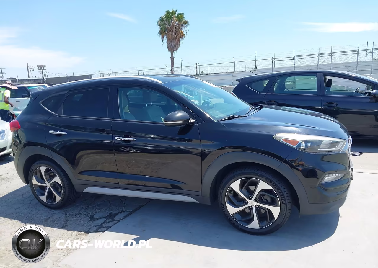 2017 Hyundai Tucson Limited VIN:KM8J3CA29HU394644 - 13
