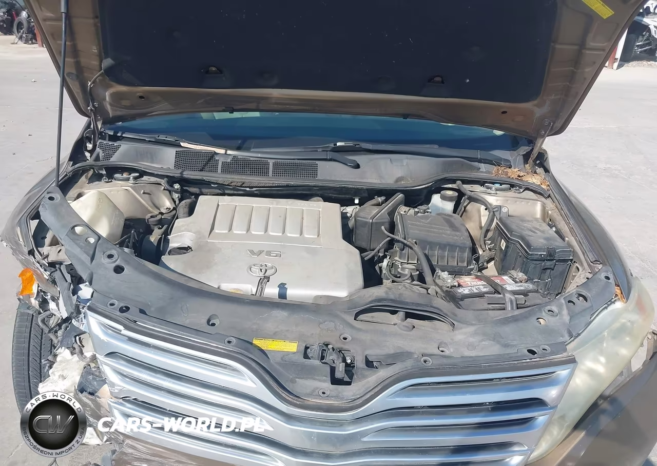 2009 Toyota Venza Base V6 VIN:4T3ZK11A09U019851 - 10