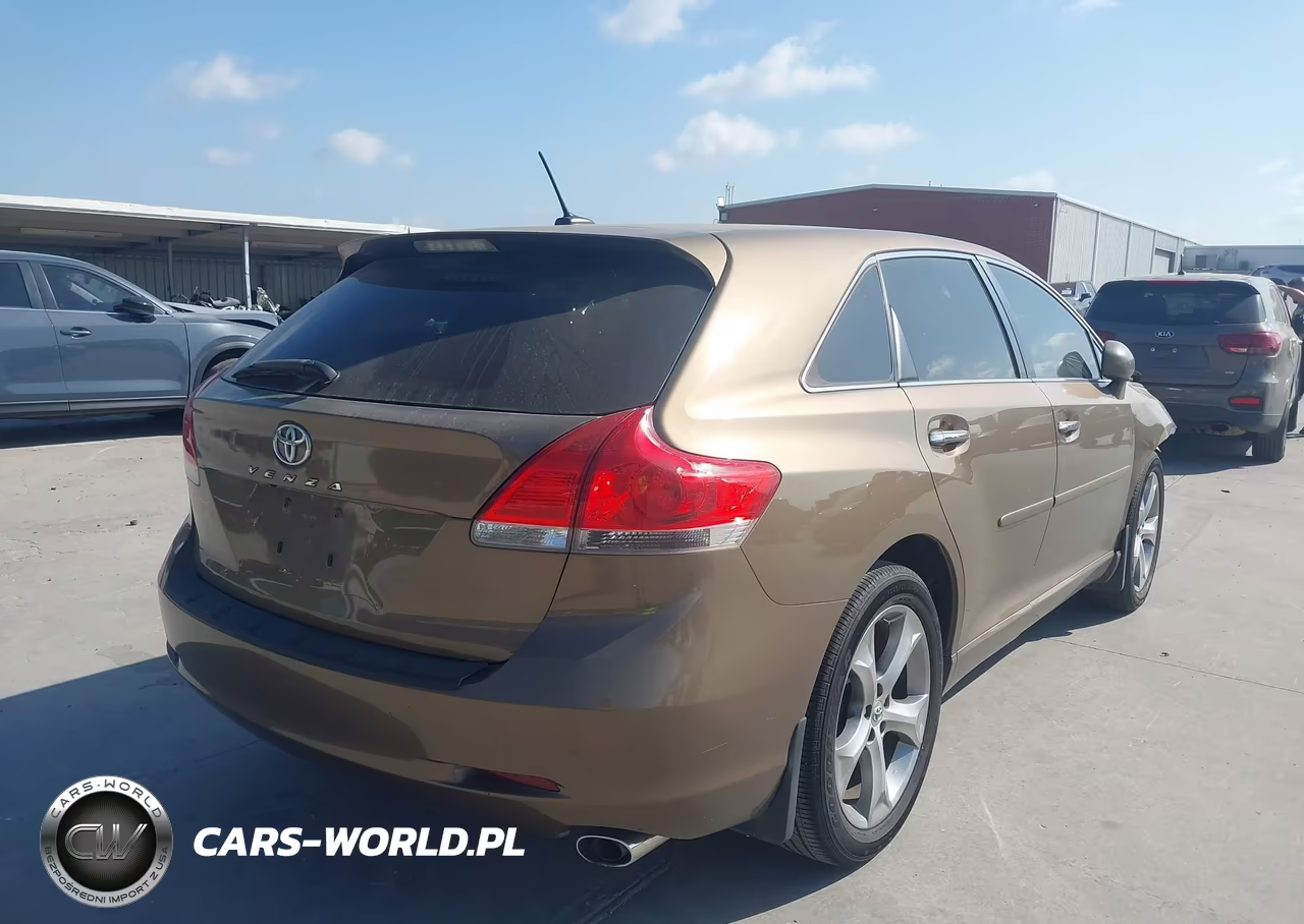 2009 Toyota Venza Base V6 VIN:4T3ZK11A09U019851 - 4