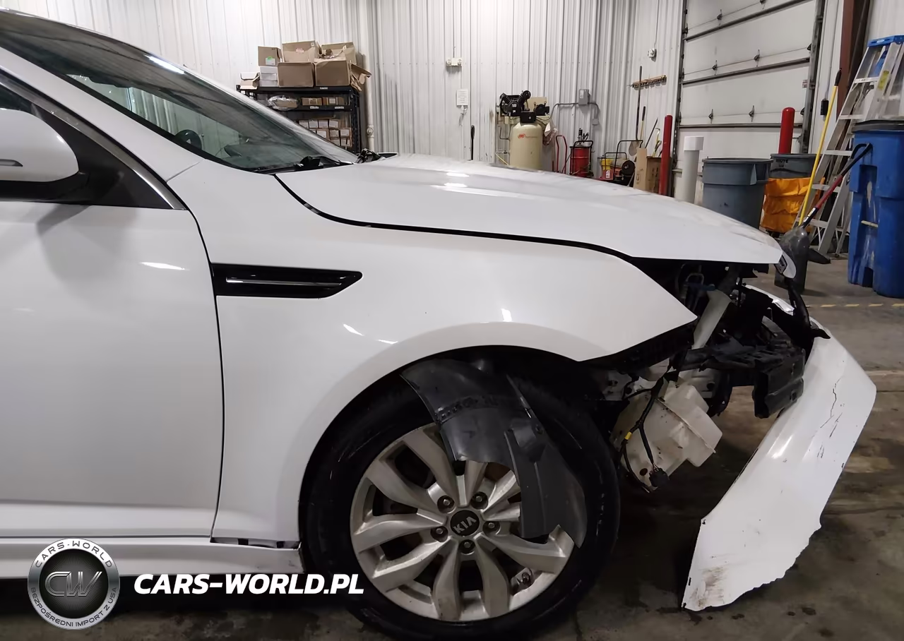 2015 Kia Optima Ex VIN:5XXGN4A74FG417695 - 19