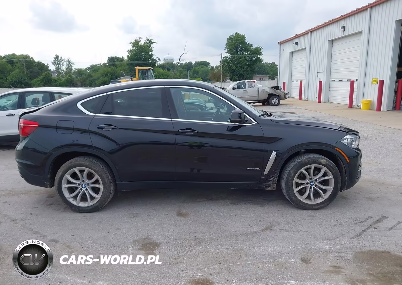 2016 BMW X6 xDrive35I VIN:5UXKU2C59G0N82219 - 13
